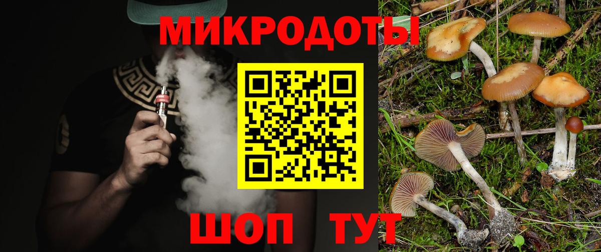 Галлюциногенные грибы Psilocybine cubensis  Псилоцибиновые грибы Psilocybe  Геленджик  дарнет шоп  Вход с VPN 