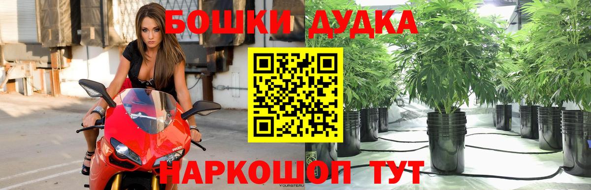 Каннабис конопля Геленджик